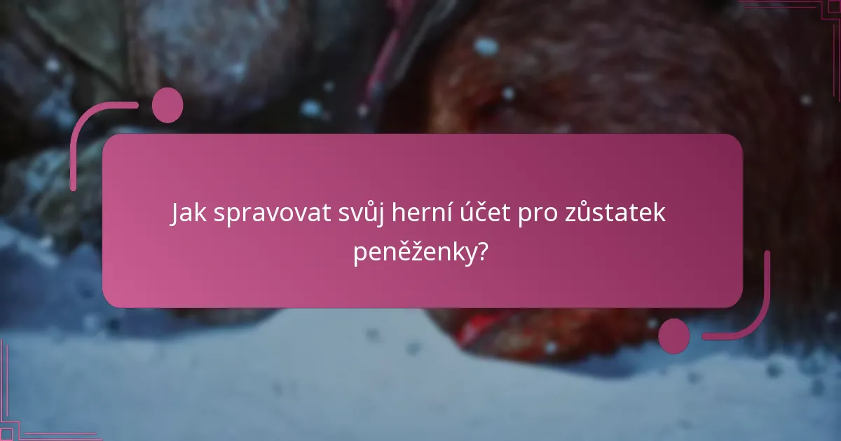 Jaké platební metody mohu použít k přidání prostředků do své peněženky?